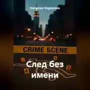 Постер книги След без имени