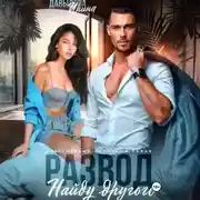 Постер книги Развод. Найду другого