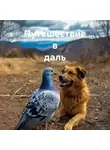 Диана Вайс - Путешествие в даль