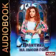 Постер книги Практика на Лысой горе