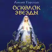 Постер книги Осколок звезды
