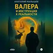 Постер книги ВАЛЕРА И ИНСТРУКЦИЯ К РЕАЛЬНОСТИ
