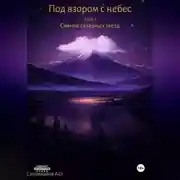 Постер книги Под взором с небес