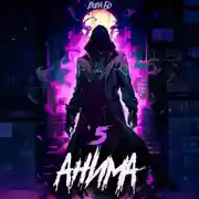 Постер книги Анима-5