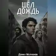 Постер книги Шел дождь