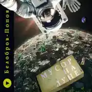 Постер книги Мусор на Луне