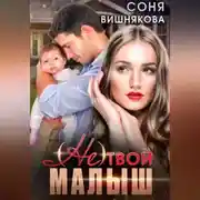 Постер книги (не) твой малыш