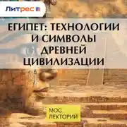 Постер книги Египет: технологии и символы древней цивилизации