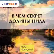 Постер книги В чем секрет долины Нила