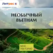 Постер книги Необычный Вьетнам