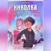 Постер книги Николка и виртуальный мир Деда Мороза