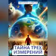 Постер книги Тайна трех измерений