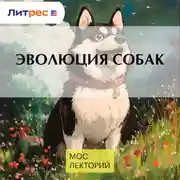 Постер книги Эволюция собак