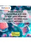 Кристина Мельникова - Знакомьтесь, стволовые клетки: зачем они нужны и дадут ли они нам бессмертие?