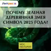 Постер книги Почему зеленая деревянная змея символ 2025 года?