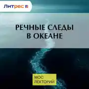 Постер книги Речные следы в океане