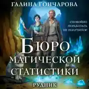 Постер книги Бюро магической статистики. Рудник