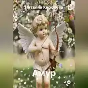 Постер книги «Амур»