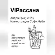 Постер книги VIPасана