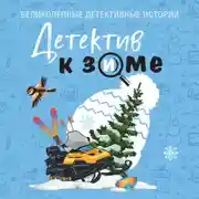 Постер книги Детектив к зиме