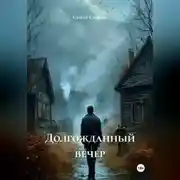Постер книги Долгожданный вечер