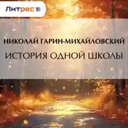 Постер книги История одной школы