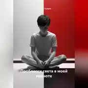 Постер книги Проблески света в моей темноте