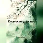 Постер книги Космос внутри нас
