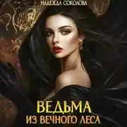 Постер книги Ведьма из Вечного леса