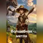 Постер книги Волшебная метла