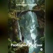 Постер книги Разборки в жизни