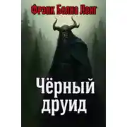 Постер книги Чёрный друид