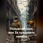 Постер книги Позывной Шах, или За тридевять земель