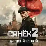 Постер книги Санёк 2