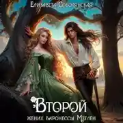 Постер книги Второй жених баронессы Меглен