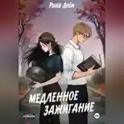 Постер книги Медленное зажигание