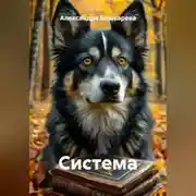 Постер книги Система
