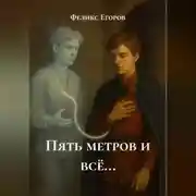 Постер книги Пять метров и всё…