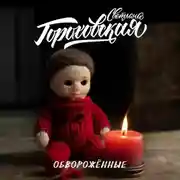 Постер книги Обворожённые