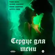 Постер книги Сердце для Тени. Полная версия.