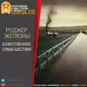 Постер книги Божественное сумасшествие