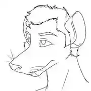 Постер книги Крыса