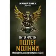 Постер книги Полет «Молнии»