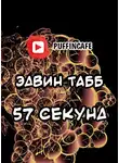 Табб Эдвин - Пятьдесять семь секунд
