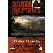 Постер книги Испытание прочности