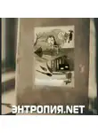 Ольга Чернорицкая - Энтропия.net