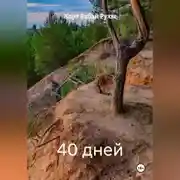 Постер книги 40 дней