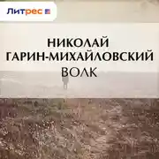 Постер книги Волк