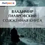 Постер книги Сожженная книга