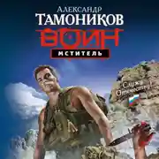 Постер книги Мститель